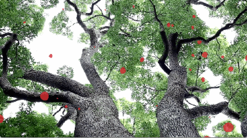 Floating image - Tree -